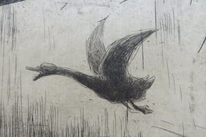 Leon Senf - Landschap met knotwilgen aan het water. kopen? Bied vanaf 20!