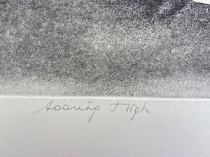 Colette Meltzer-Haesaerts - Touring High kopen? Bied vanaf 5!