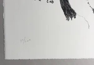 Armando - handgesigneerde litho | 'Das Blatt' | 2010. kopen? Bied vanaf 250!