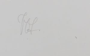 Peter Vos - Litho, De ontdekking van de giraffe kopen? Bied vanaf 80!