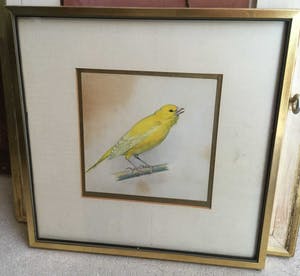 Karl Schicktanz - C3736-12 - Vogeltje kopen? Bied vanaf 50!