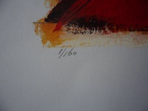 Cor de Jong - Cor de Jong: Zeefdruk, Contemplation kopen? Bied vanaf 30!