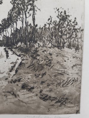 Martin van Waning - "Berkenlaantje" kopen? Bied vanaf 39!