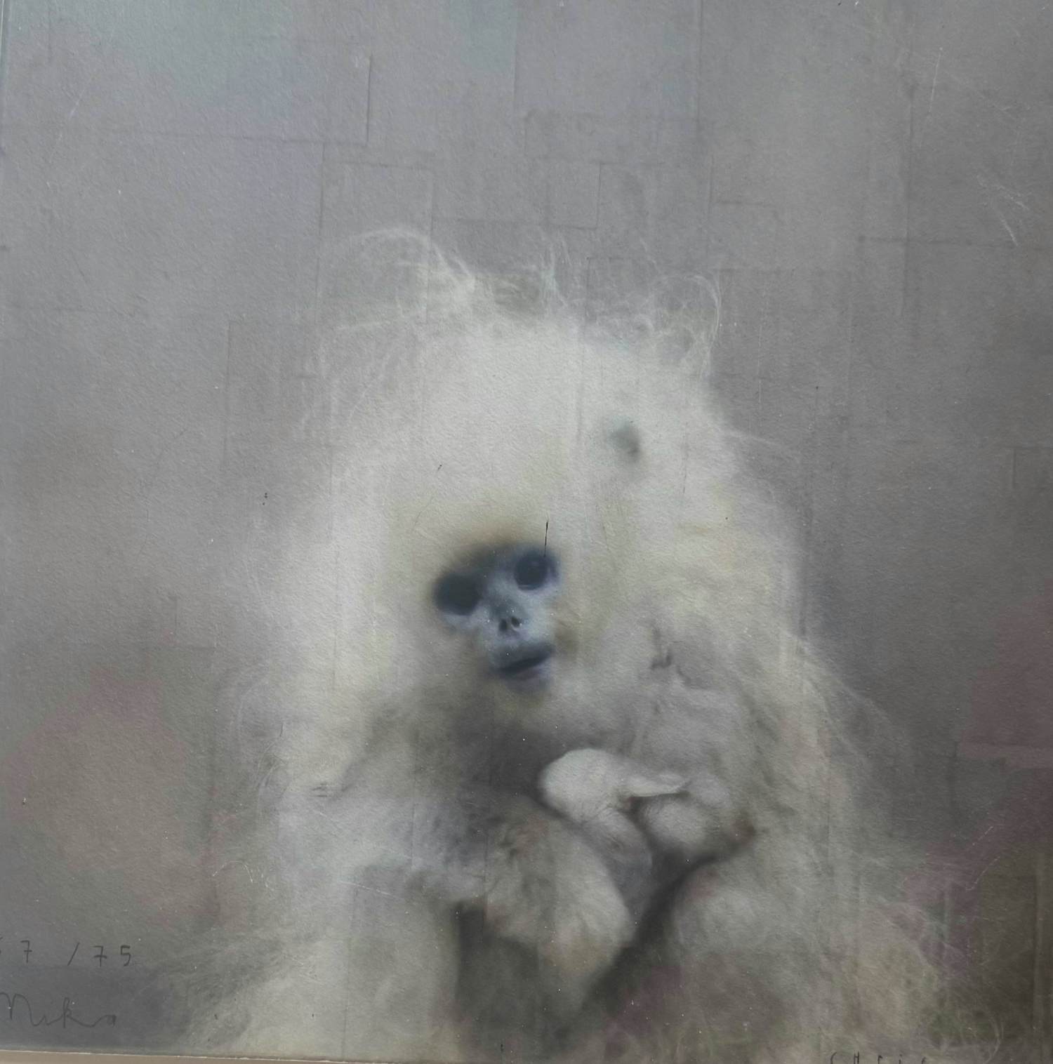 Chris Berens - Glicee ‘Mika’ kopen? Bied vanaf 100!