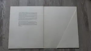 Vincent van Gogh - Acht tekeningen van Vincent van Gogh kopen? Bied vanaf 95!