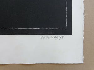 Corneille - FEMME ET FAUNE FAMILIERE / ZW-W ETS / 76x56cm / SIG 1978 kopen? Bied vanaf 175!