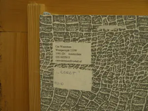 Cas Waterman - Olieverf op doek , ‘Corot’ , Naakt, landschap en kikker - 2003 kopen? Bied vanaf 500!