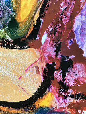 Jan te Wierik - Oranje Vogel , gesigneerd in druk kopen? Bied vanaf 1!