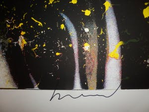 Herman Brood - Kleurenzeefdruk NIGHTRIDE Handgesigneerd. kopen? Bied vanaf 1!