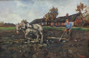 Cor Noltee - A5902 - Paard voor de ploeg kopen? Bied vanaf 750!