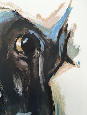 Theo Onnes - Hollandse koe II (ingelijst) kopen? Bied vanaf 90!