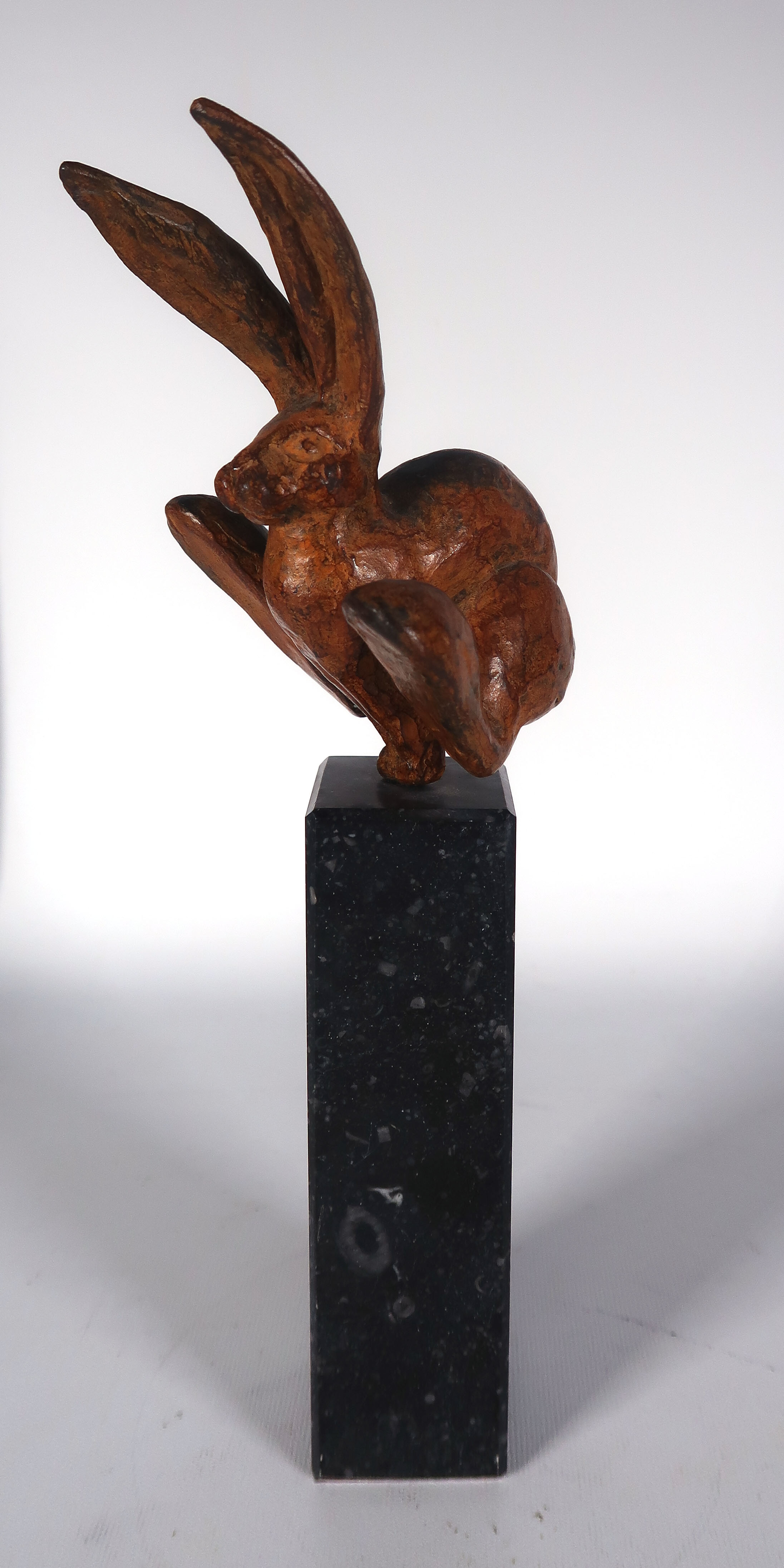 Mohana van den Kroonenberg - Brons en graniet, Haas op sokkel kopen? Bied vanaf 150!