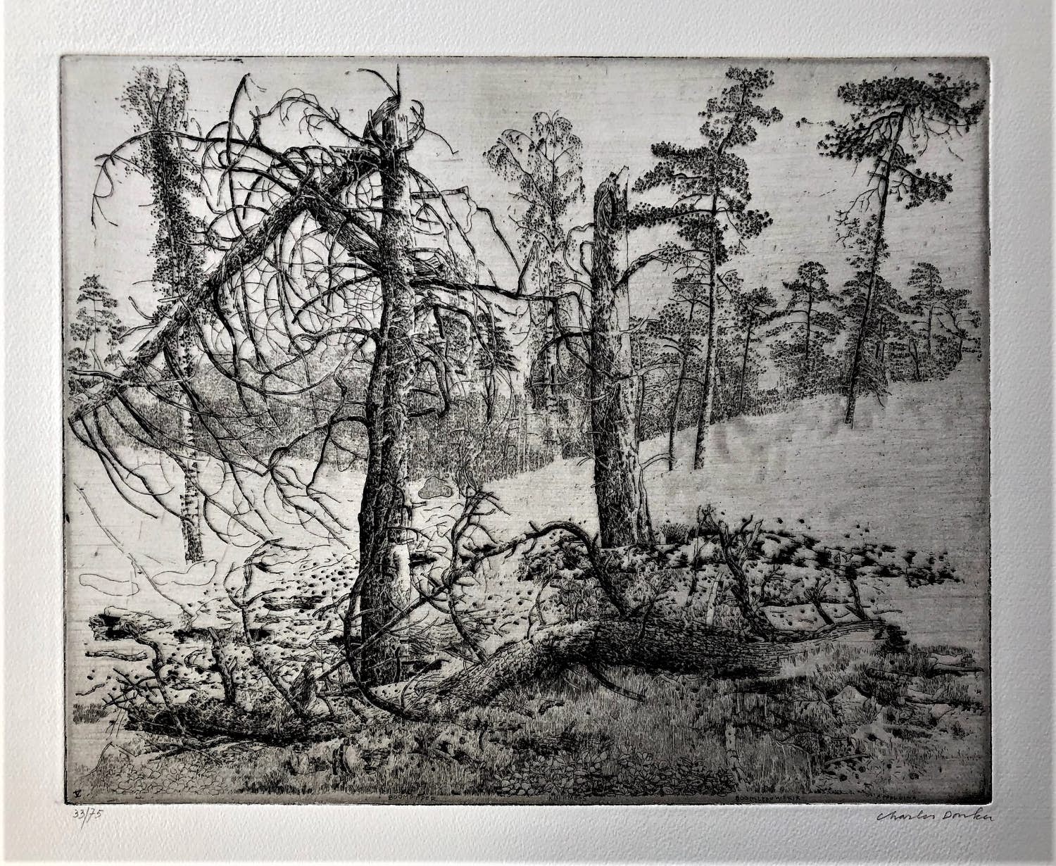 Charles Donker - Bornia (Zeist) verkocht voor € 145!