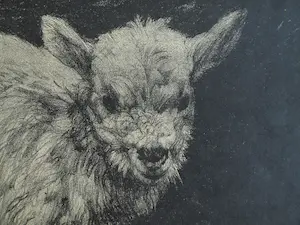 Dirk Homberg - 3x Litho , “Geitjes” – ca 1935 kopen? Bied vanaf 25!