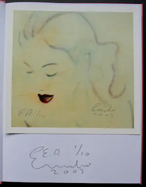 Emilio Kruithof - Zeefdruk: Audition - 2003(incl boek!) kaufen? Bieten Sie von 125!