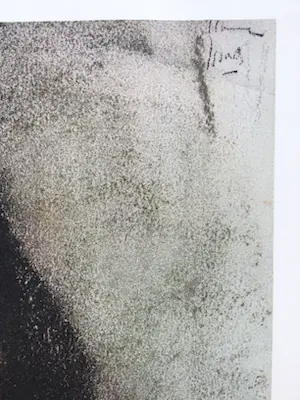 Isaac Israels - 5 tekeningen in koperdiepdruk , gesigneerd in druk kopen? Bied vanaf 65!