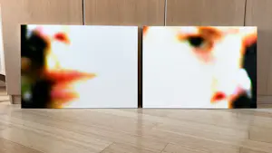 Bas van Tol - Gezicht kopen? Bied vanaf 100!