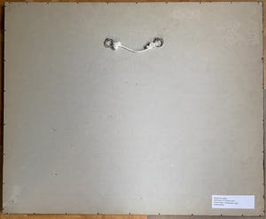 Frans Hollaardt - Wederopbouw Rotterdam kopen? Bied vanaf 25!