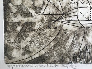 Kees Okx - Heliotropisme | unieke en zeldzame ets (E.A. VII/X) - in bijzondere wissellijst kopen? Bied vanaf 89!