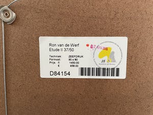 Ron van der Werf - Zeefdruk - Etude II - Ingelijst - Nr. 37 kopen? Bied vanaf 65!