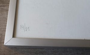 Maarten Beks - Zeefdruk - zonder titel - 14/25 - ingelijst kopen? Bied vanaf 1!