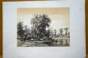 Jacob Jan van der Maaten - Een landelijk gezicht met koeien vendu pour 10€ !