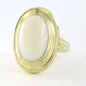 Buy 14k geel gouden ring bezet met een opaal - 5.0 gram - ringmaat 17.5(55)? Bid from 360!
