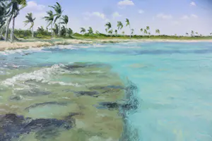 Erika Toliusis - Acryl op doek, Windy day in Paamul kopen? Bied vanaf 400!