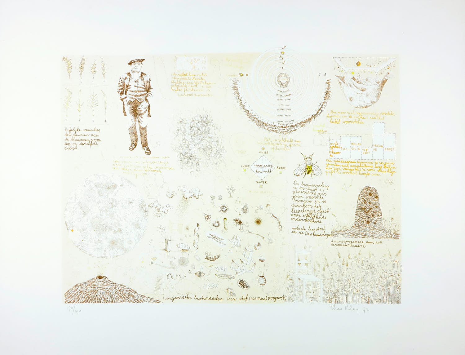 Theo Kley - Litho, Leerstoel in de deskundologie kopen? Bied vanaf 1!