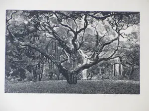 Emile Dehe - Bosgezicht in de duinen - Houtsnede kaufen? Bieten Sie von 50!
