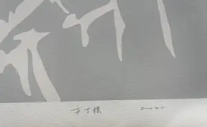 Shi Biao Fang - White Dream No 7 kopen? Bied vanaf 275!