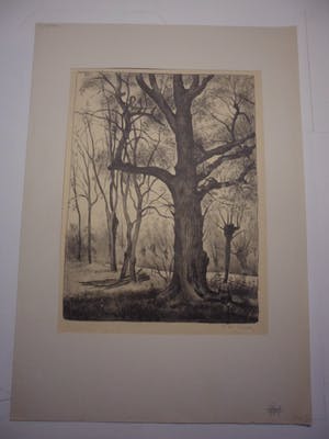 Cor. W Joppe - Litho, zonder titel kopen? Bied vanaf 20!