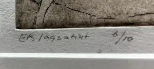 Jeanne Hendrikse - Luxaflex kopen? Bied vanaf 50!