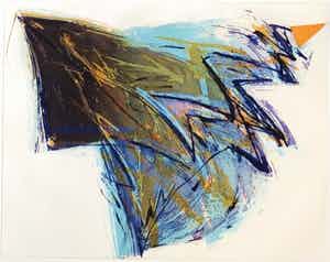 Hans Vredegoor - Weerklank verkocht voor € 55!