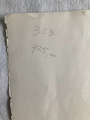 Carlos Ceesepe - Litho , Surrealistische voorstelling - 75½ x 112 cm kopen? Bied vanaf 125!