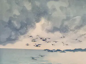 France Hilon - Duinenkust kopen? Bied vanaf 45!