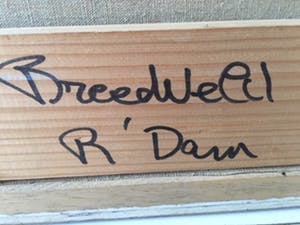 Ada Breedveld - Titel onbkend kopen? Bied vanaf 1000!