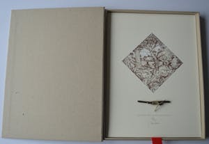 Niet of onleesbaar gesigneerd - The little boy scouts discovery. Zie foto's aub!! kopen? Bied vanaf 10!