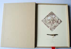 Niet of onleesbaar gesigneerd - The little boy scouts discovery. Zie foto's aub!! verkocht voor € 10!