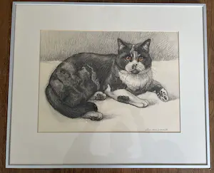 Ella van Schaik - Poes ! kopen? Bied vanaf 1!