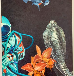 Paul Van Hoeydonck - Cobra in space kopen? Bied vanaf 110!