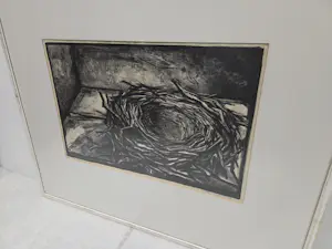Aart van Dobbenburgh - Vogelnest kopen? Bied vanaf 20!