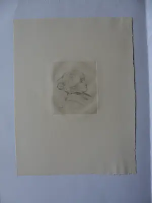 Pierre Auguste Renoir - Ets van een vrouw bekend als Berte Morisot uit circa 1892 kopen? Bied vanaf 120!