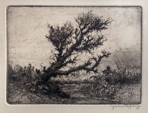 Gerrit de Jong - Ets - Boom - 20263 kopen? Bied vanaf 50!