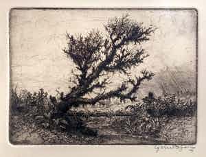 Gerrit de Jong - Ets - Boom - 20263 verkocht voor € 50!