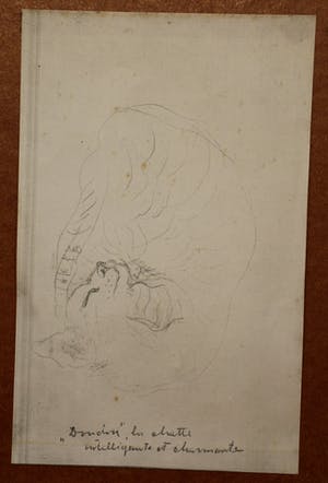 Armand Bouten - Ingelijste aquarel: de intelligente en charmante kat kopen? Bied vanaf 599!