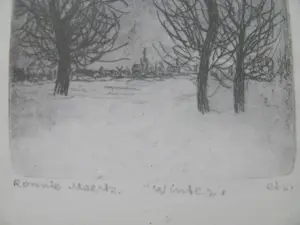 Ronnie Meerts - Winter kopen? Bied vanaf 20!