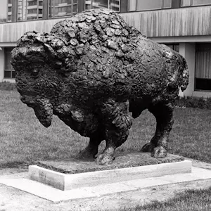 Pieter d' Hont - Bronzen beeld: 'bizon' - 1981 kopen? Bied vanaf 1500!