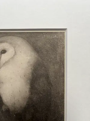Jan Mankes - Originele Heliogravure Uil op Boomtak 1927 kopen? Bied vanaf 165!