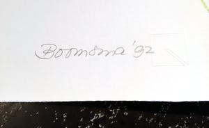 Marijke Boomsma - Philadelphia Lion kopen? Bied vanaf 65!